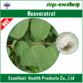 Resveratrol 98% (extracto gigante de Knotweed)
